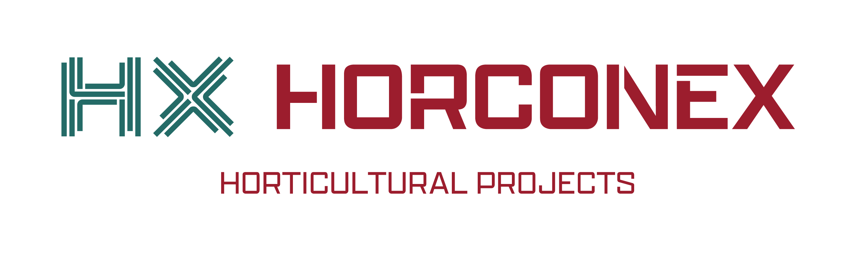 AVAG Horconex logo.jpg